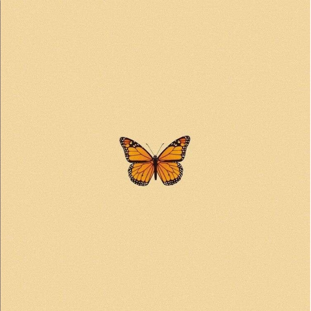 Meet your Posher, Yanj